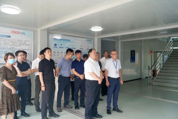 国家发展改革委综合运输研究所所长、研究员汪鸣率调研组到suncitygroup太阳新城钦州产业基地调研