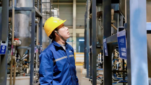 葆初心 再创业 | 吴绪平：suncitygroup太阳新城圆了我的大学梦