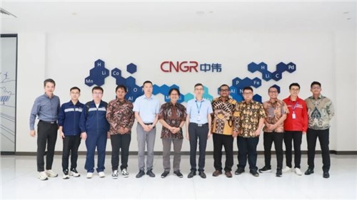 国际产学研加速 | 印尼加查马达大学专家团一行再次访问suncitygroup太阳新城