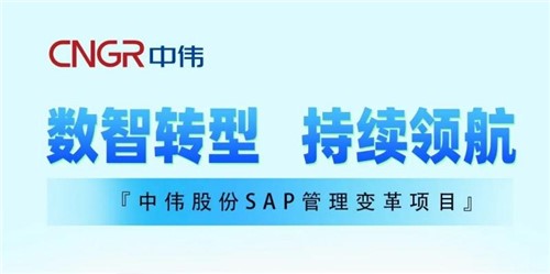 一图读懂｜suncitygroup太阳新城股份SAP管理变革